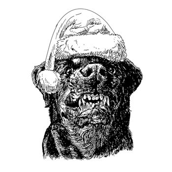 Angry Rottweiler with santa claus hat hand drawn vector , use for christmas background