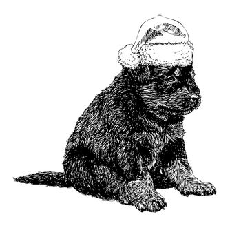 Puppy Rottweiler with santa claus hat hand drawn vector , use for christmas background