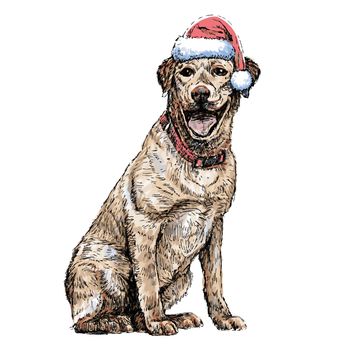 Yellow Labrador Retriever with santa claus hat hand drawn vector , use for christmas background