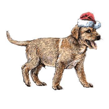 Yellow Labrador Retriever with santa claus hat hand drawn vector , use for christmas background