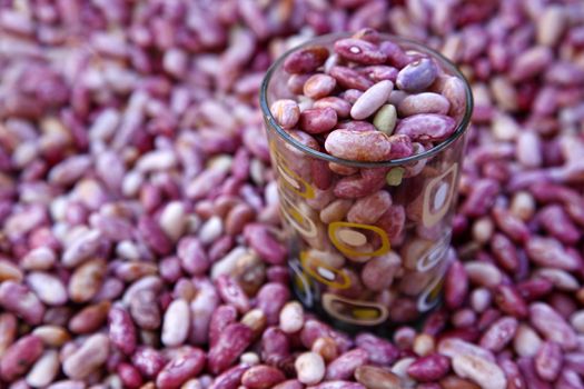 A closeup of dry great pink beans.