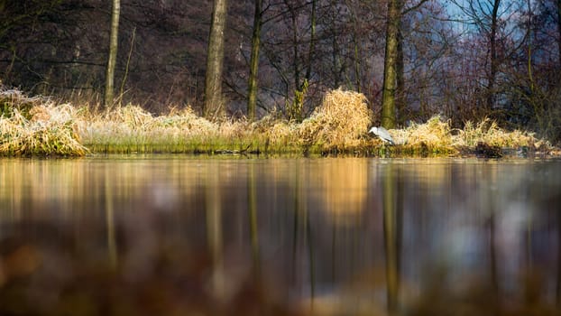 landscape with natural river, nature series