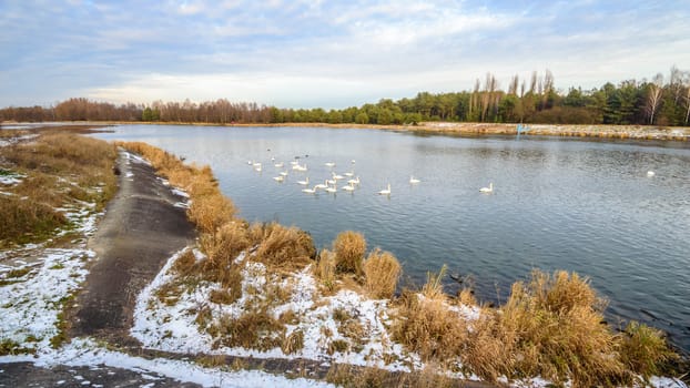 landscape with natural river, nature series