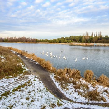 landscape with natural river, nature series