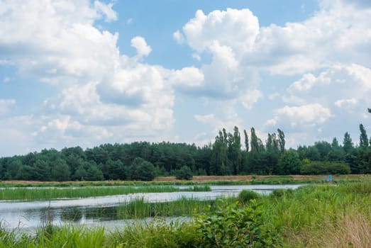 landscape with natural river, nature series