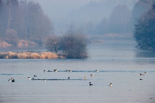 landscape with natural river, nature series