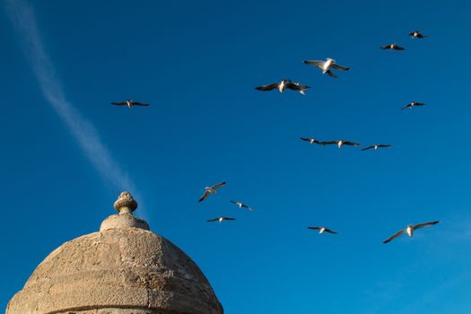 Part of the city fortification, enlightened by sunlight. Blue sky with a plane trail. Flying seagulls.