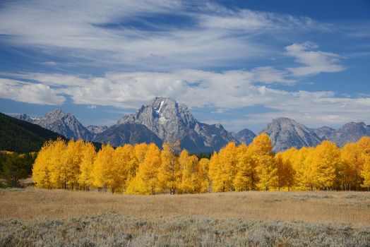 autumn in grand teton national park