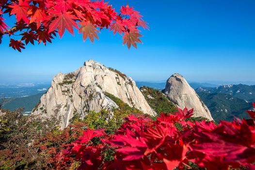 Baegundae peak and Bukhansan mountains in autumn,Seoul in South Korea.