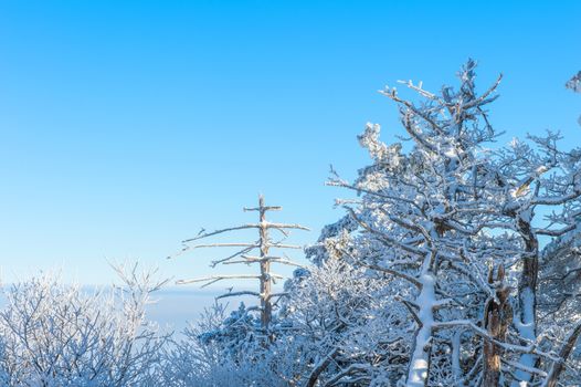 Deogyusan in winter,korea