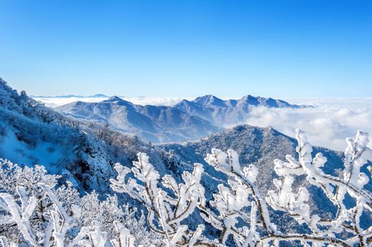 Seoraksan mountains is covered by morning fog in winter, Korea.