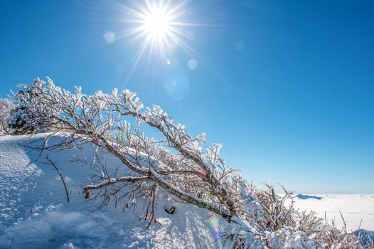 Seoraksan mountains is covered by snow in winter, Korea.