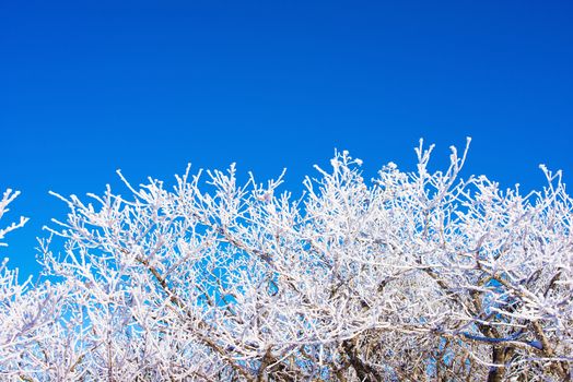 Landscape in winter,Deogyusan in korea