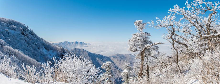 Panorama of winter,Deogyusan in korea