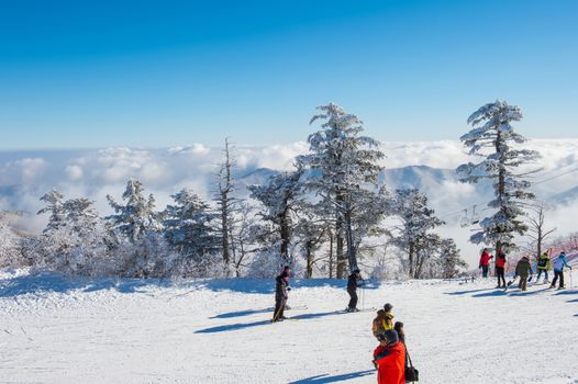 DEOGYUSAN,KOREA - JANUARY 23: Tourists taking photos of the beautiful scenery and skiing around Deogyusan,South Korea on January 23, 2015.