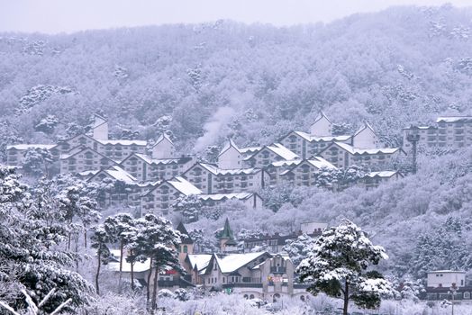 DEOGYUSAN,KOREA - JANUARY 23: View of Deogyusan Resort in winter,South Korea on January 23, 2015.