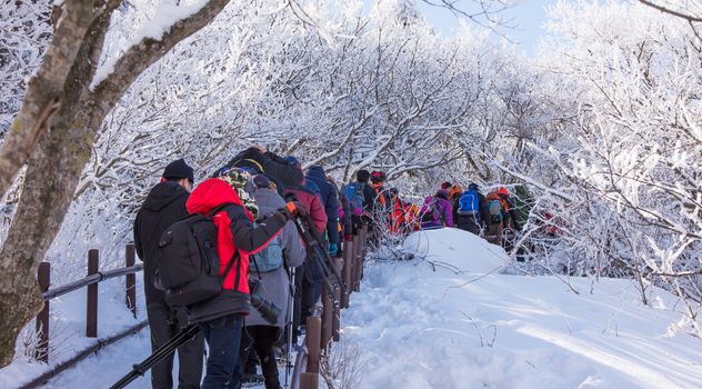 DEOGYUSAN,KOREA - JANUARY 23: Tourists taking photos of the beautiful scenery around Deogyusan,South Korea on January 23, 2015.