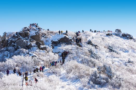 DEOGYUSAN,KOREA - JANUARY 23: Tourists taking photos of the beautiful scenery around Deogyusan,South Korea on January 23, 2015.