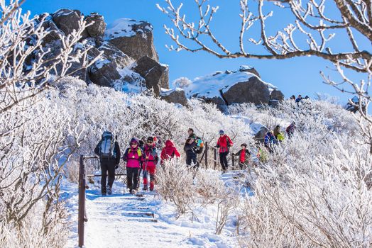 DEOGYUSAN,KOREA - JANUARY 23: Tourists taking photos of the beautiful scenery around Deogyusan,South Korea on January 23, 2015.