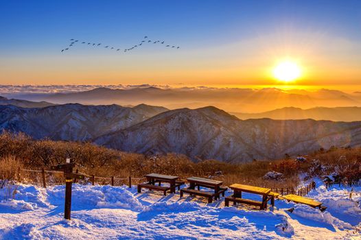 Sunrise with beautiful Lens Flare and silhouettes of birds at Deogyusan mountains in winter,South Korea.