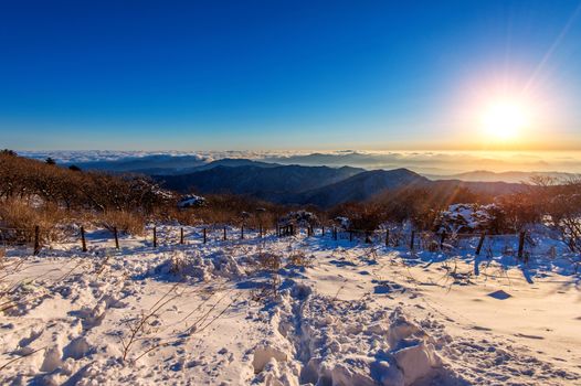 Sunrise with beautiful Lens Flare at Deogyusan mountains in winter,South Korea.