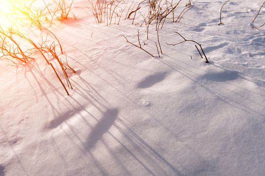 Solar flare on snowy slopes in winter.