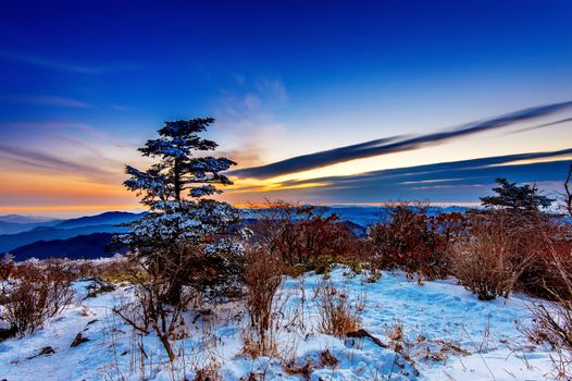 Sunrise with silhouettes of trees at Deogyusan mountains in winter,South Korea.