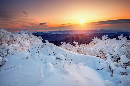 Sunrise on Deogyusan mountains covered with snow in winter,South Korea.