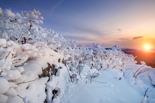 Sunrise on Deogyusan mountains covered with snow in winter,South Korea.