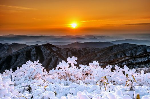 Beautiful sunrise on Deogyusan mountains covered with snow in winter,South Korea.