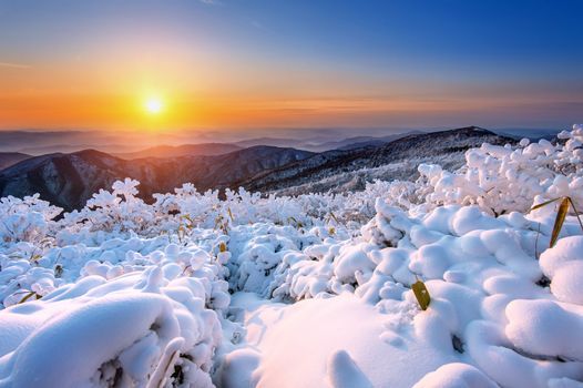 Sunrise on Deogyusan mountains covered with snow in winter,South Korea.