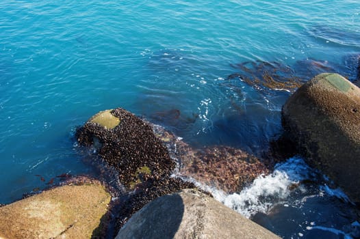 seashore in haeundae sea,Korea