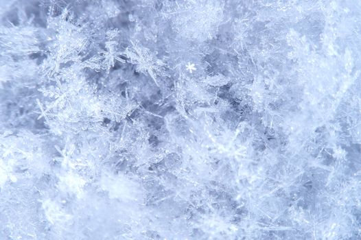 Macro of a snowflake in natural surroundings.