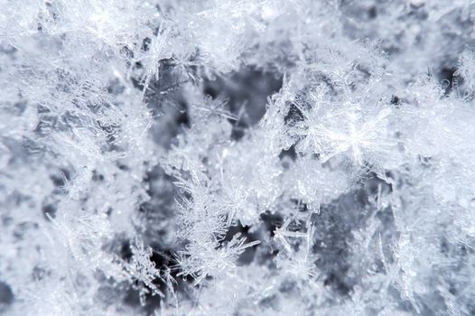 Macro of a snowflake in natural surroundings.