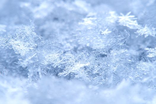 Macro of a snowflake in natural surroundings.