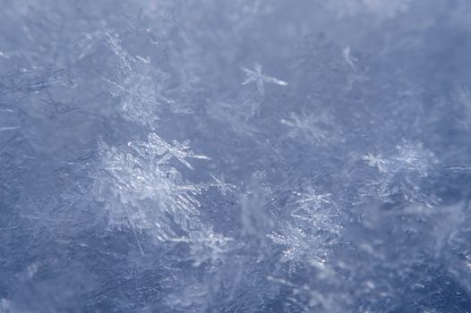 Macro of a snowflake in natural surroundings.