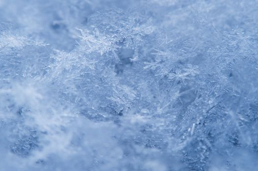 Macro of a snowflake in natural surroundings.