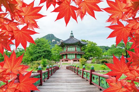 Gyeongbokgung Palace with Colorful autumn leaves in Seoul, South Korea.