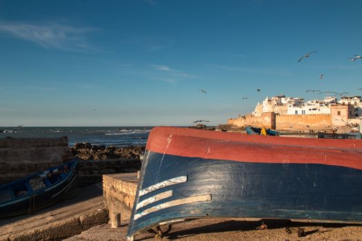 Boat enlightened by evening sun. Port of Essaouira. City in the background. Ocean and blue sky with flying seagulls.