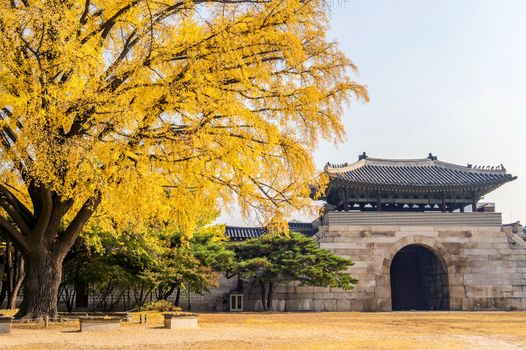 Autumn in Gyeongbukgung Palace,Korea.