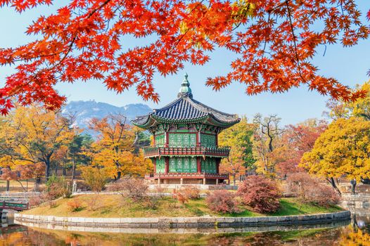 Gyeongbukgung and Maple tree in autumn in korea.