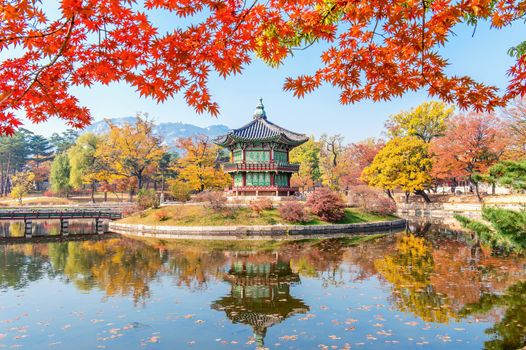 Gyeongbukgung and Maple tree in autumn in korea.