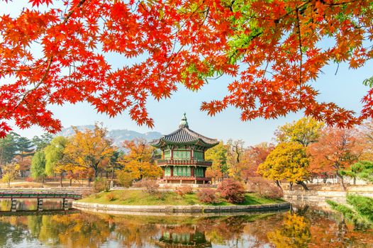 Gyeongbokgung Palace and Soft focus of Maple tree in autumn,Korea.