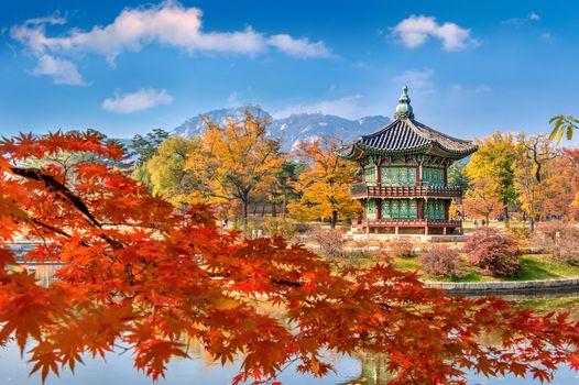 Gyeongbokgung Palace and Soft focus of Maple tree in autumn,Korea.