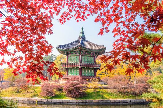 Gyeongbukgung and Maple tree in autumn in korea.