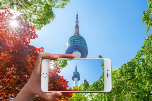 Hand holding smart phone take a photo at Seoul Tower and red autumn maple leaves.