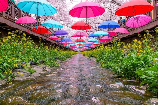 JINHAE,KOREA - APRIL 4 : Jinhae Gunhangje Festival is the largest cherry blossom festival in Korea.Tourists taking photos of the beautiful scenery around Jinhae,Korea on April 4,2015.