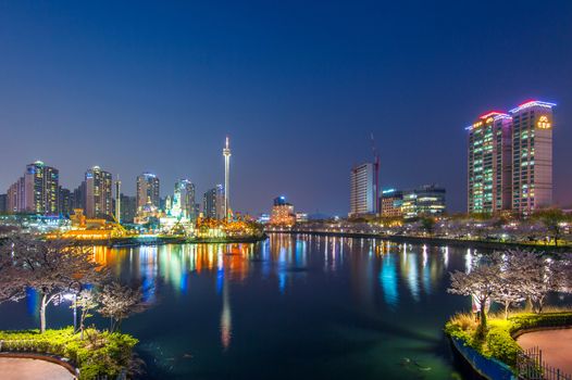 SEOUL, KOREA - APRIL 9, 2015: Lotte World amusement park at night and cherry blossom of Spring, a major tourist attraction in Seoul, South Korea on April 9, 2015