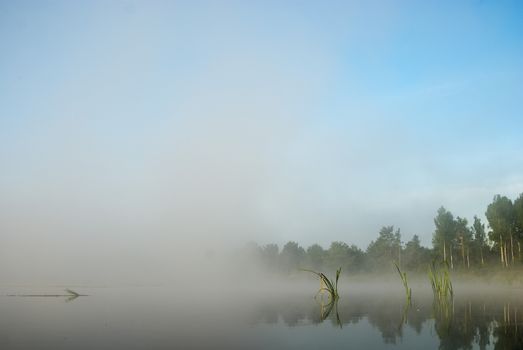 landscape with natural fogy river, nature series