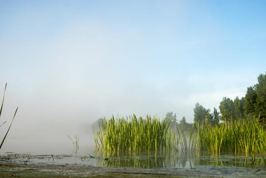 landscape with natural fogy river, nature series